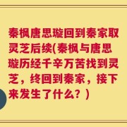 秦枫唐思璇回到秦家取灵芝后续(秦枫与唐思璇历经千辛万苦找到灵芝，终回到秦家，接下来发生了什么？)