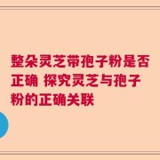 整朵灵芝带孢子粉是否正确 探究灵芝与孢子粉的正确关联