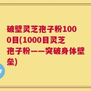 破壁灵芝孢子粉1000目(1000目灵芝孢子粉——突破身体壁垒)