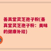 善真堂灵芝孢子粉(善真堂灵芝孢子粉：美味的健康补给)