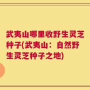 武夷山哪里收野生灵芝种子(武夷山：自然野生灵芝种子之地)