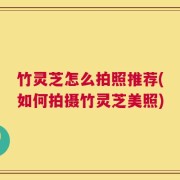 竹灵芝怎么拍照推荐(如何拍摄竹灵芝美照)
