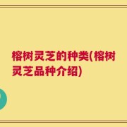 榕树灵芝的种类(榕树灵芝品种介绍)