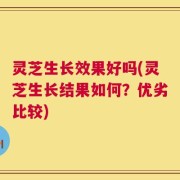 灵芝生长效果好吗(灵芝生长结果如何？优劣比较)