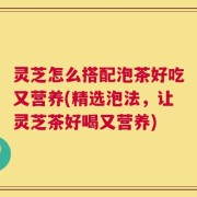 灵芝怎么搭配泡茶好吃又营养(精选泡法，让灵芝茶好喝又营养)