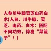 人参川牛膝灵芝山药白术(人参、川牛膝、灵芝、山药、白术：搭配不同功效，惊喜“菜篮子”！)