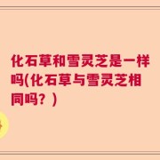 化石草和雪灵芝是一样吗(化石草与雪灵芝相同吗？)