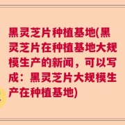 黑灵芝片种植基地(黑灵芝片在种植基地大规模生产的新闻，可以写成：黑灵芝片大规模生产在种植基地)