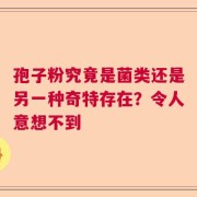 孢子粉究竟是菌类还是另一种奇特存在？令人意想不到