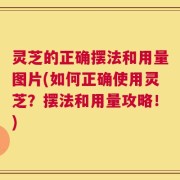 灵芝的正确摆法和用量图片(如何正确使用灵芝？摆法和用量攻略！)