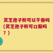 灵芝孢子粉可以干吞吗(灵芝孢子粉可口服吗？)