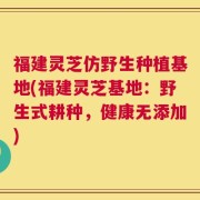 福建灵芝仿野生种植基地(福建灵芝基地：野生式耕种，健康无添加)