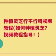 种植灵芝行不行呀视频教程(如何种植灵芝？视频教程指导！)