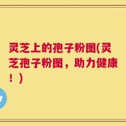 灵芝上的孢子粉图(灵芝孢子粉图，助力健康！)