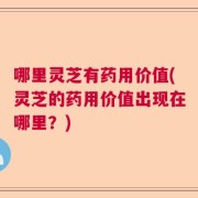 哪里灵芝有药用价值(灵芝的药用价值出现在哪里？)