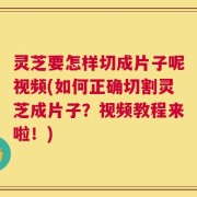 灵芝要怎样切成片子呢视频(如何正确切割灵芝成片子？视频教程来啦！)