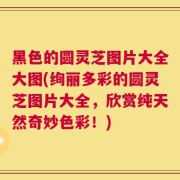 黑色的圆灵芝图片大全大图(绚丽多彩的圆灵芝图片大全，欣赏纯天然奇妙色彩！)