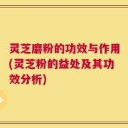 灵芝磨粉的功效与作用(灵芝粉的益处及其功效分析)