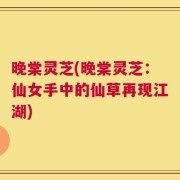 晚棠灵芝(晚棠灵芝：仙女手中的仙草再现江湖)