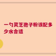 一勺灵芝孢子粉该配多少水合适