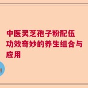 中医灵芝孢子粉配伍 功效奇妙的养生组合与应用