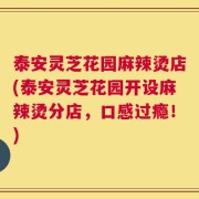 泰安灵芝花园麻辣烫店(泰安灵芝花园开设麻辣烫分店，口感过瘾！)