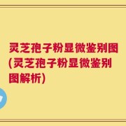 灵芝孢子粉显微鉴别图(灵芝孢子粉显微鉴别图解析)