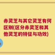 赤灵芝与其它灵芝有何区别(区分赤灵芝和其他灵芝的特征与功效)