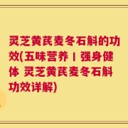 灵芝黄芪麦冬石斛的功效(五味营养丨强身健体 灵芝黄芪麦冬石斛功效详解)