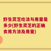 野生灵芝吃法与用量是多少(野生灵芝的正确食用方法及用量)