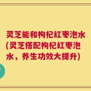 灵芝能和枸杞红枣泡水(灵芝搭配枸杞红枣泡水，养生功效大提升)