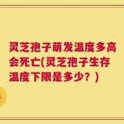 灵芝孢子萌发温度多高会死亡(灵芝孢子生存温度下限是多少？)