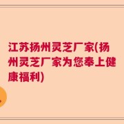 江苏扬州灵芝厂家(扬州灵芝厂家为您奉上健康福利)