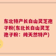 东北特产长白山灵芝孢子粉(东北长白山灵芝孢子粉：纯天然特产)