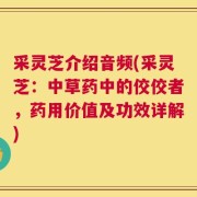 采灵芝介绍音频(采灵芝：中草药中的佼佼者，药用价值及功效详解)