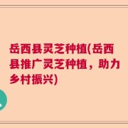 岳西县灵芝种植(岳西县推广灵芝种植，助力乡村振兴)