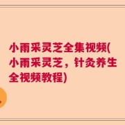 小雨采灵芝全集视频(小雨采灵芝，针灸养生全视频教程)