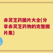 赤灵芝药图片大全(分享赤灵芝药物的完整图片集)