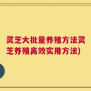 灵芝大批量养殖方法灵芝养殖高效实用方法)