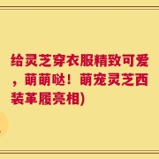 给灵芝穿衣服精致可爱，萌萌哒！萌宠灵芝西装革履亮相)