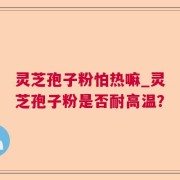 灵芝孢子粉怕热嘛_灵芝孢子粉是否耐高温？