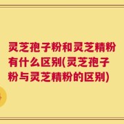 灵芝孢子粉和灵芝精粉有什么区别(灵芝孢子粉与灵芝精粉的区别)