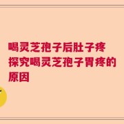 喝灵芝孢子后肚子疼 探究喝灵芝孢子胃疼的原因