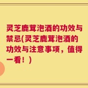 灵芝鹿茸泡酒的功效与禁忌(灵芝鹿茸泡酒的功效与注意事项，值得一看！)