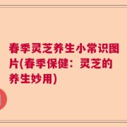 春季灵芝养生小常识图片(春季保健：灵芝的养生妙用)