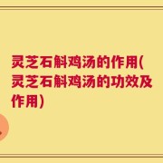 灵芝石斛鸡汤的作用(灵芝石斛鸡汤的功效及作用)