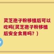 灵芝孢子粉移植后可以吃吗(灵芝孢子粉移植后安全食用吗？)