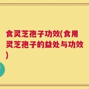 食灵芝孢子功效(食用灵芝孢子的益处与功效)