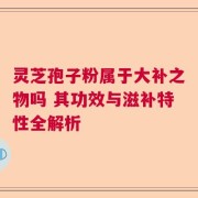 灵芝孢子粉属于大补之物吗 其功效与滋补特性全解析