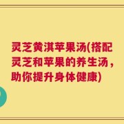 灵芝黄淇苹果汤(搭配灵芝和苹果的养生汤，助你提升身体健康)